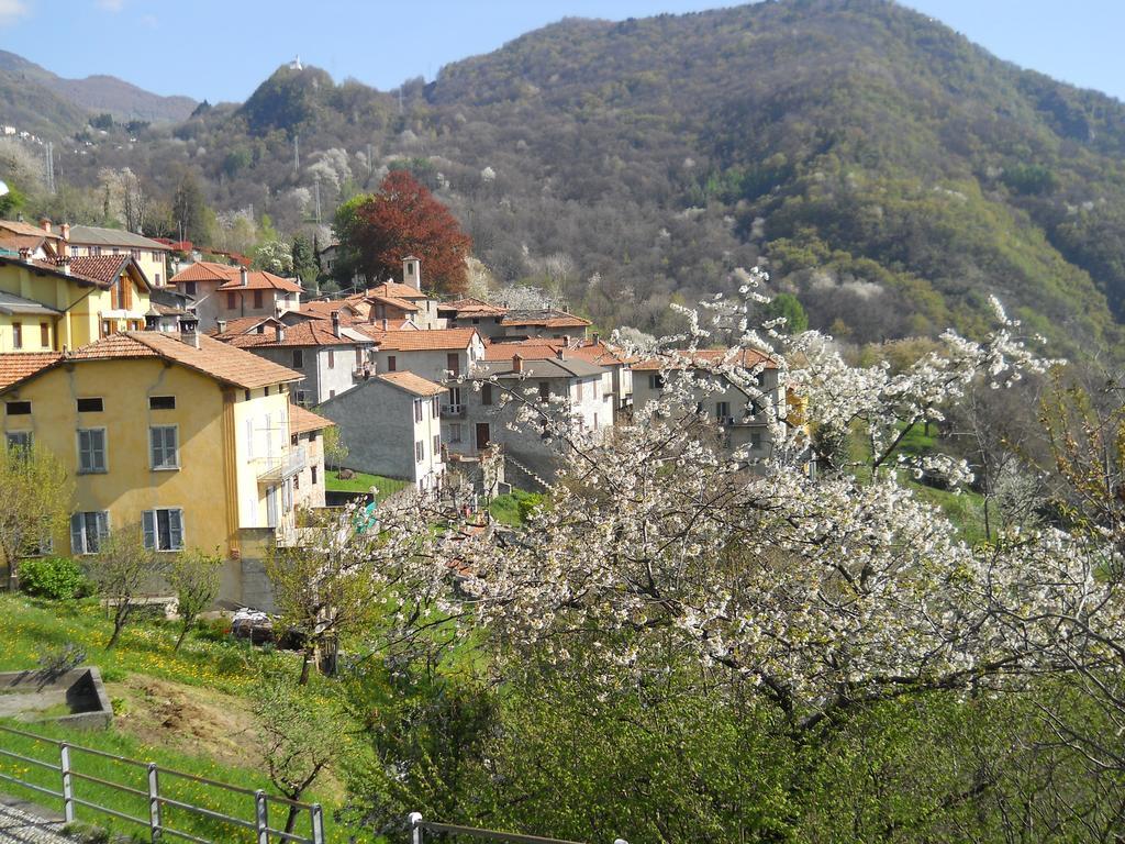 Appartement Casa Del Fra' à Plesio Extérieur photo